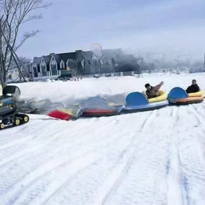 Towable Inflatable Snow Tube a - Outdoor Sports Activities のレビューと価格