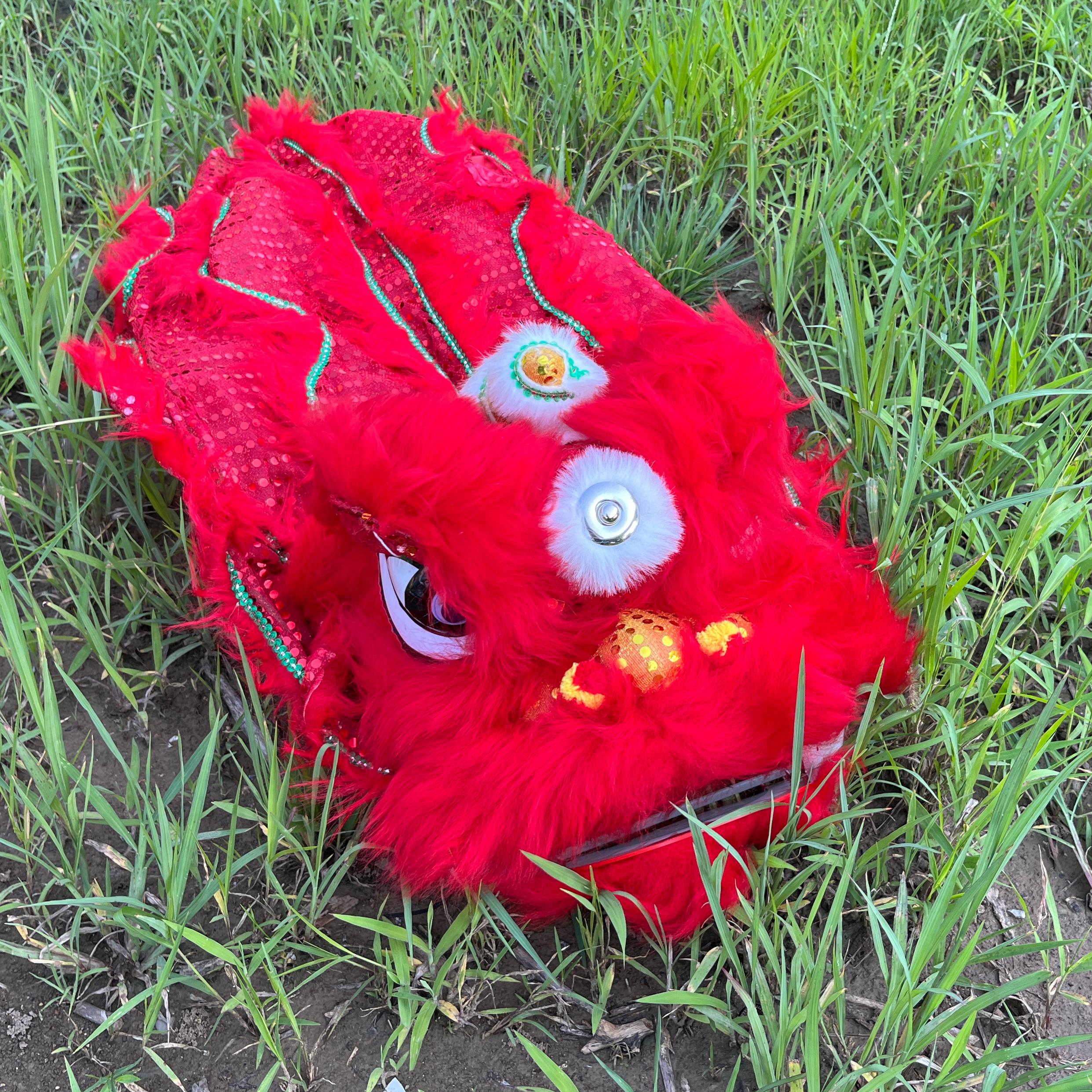 14 inch Lion Dance Costume  Ro - Outdoor Sport Festival のレビューと価格
