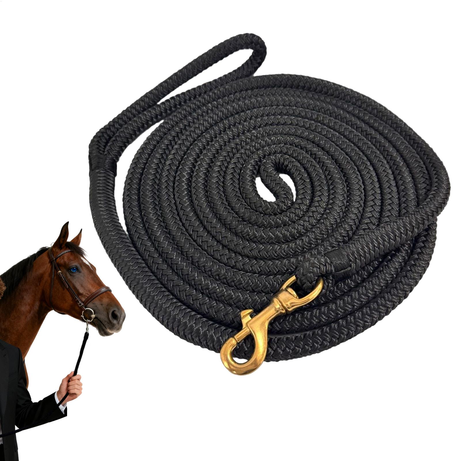 Horse Lunge Line Performance H - Lunge Line Horse のレビューと価格